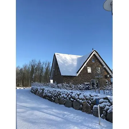 Bi De Kuehlung Comfortable Vacation *